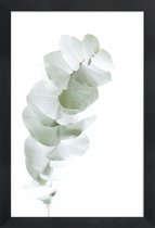 JUNIQE - Poster in houten lijst Eucalyptus White 1 -40x60 /Groen & Wit