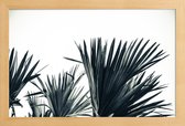 JUNIQE - Poster met houten lijst Palm Shade 3 -13x18 /Grijs & Wit