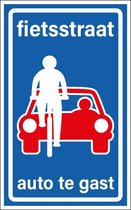 Fietsstraat sticker, L51 320 x 200 mm