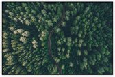 Droneshot van een bos - Foto op Akoestisch paneel - 90 x 60 cm