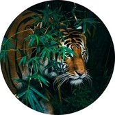 Bengaalse tijger in oerwoud - Foto op Behangcirkel - ⌀ 40 cm