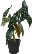 Kunstplant in pot - stippenplant - begonia maculata stippenbegonia - kunst kamerplant - groen met witte stippen, rode achterkant blad - Ø28xh40cm