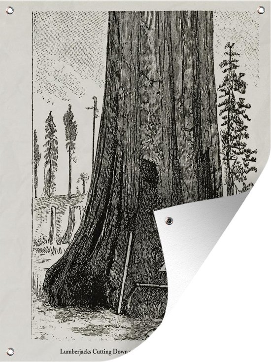Tuinposter - Tuindoek - Tuinposters buiten - Een illustratie van houthakkers die een Redwood boom omhaken - 90x120 cm - Tuin