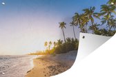 Palmiers sur la plage au lever du soleil 120x80 cm