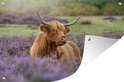 Image du produit 18