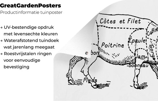 Ancienne illustration du boucher diagramme du cochon affiche de jardin toile en vrac 180x120 cm - Toile de jardin / Toile d'extérieur / Peintures d'extérieur (décoration de jardin) XXL / Groot format!