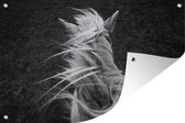 Muurdecoratie Manenkam van een paard in zwart-wit - 180x120 cm - Tuinposter - Tuindoek - Buitenposter