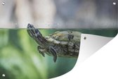 Tuindecoratie Close-up foto van schildpad - 60x40 cm - Tuinposter - Tuindoek - Buitenposter