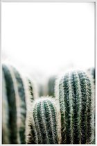 JUNIQE - Poster in kunststof lijst Cactus 1 -30x45 /Groen & Wit