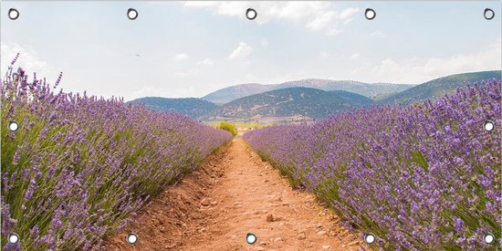 Tuinposter Lavendelveld 100 x 50 cm incl. Metalen ringen - (Buitenposter - Tuindoek - Buitencanvas - Schilderijen voor buiten - tuin decoratie)