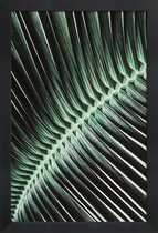 JUNIQE - Poster in houten lijst Curved Palm -40x60 /Groen