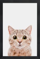 JUNIQE - Poster met houten lijst Kitten -13x18 /Bruin