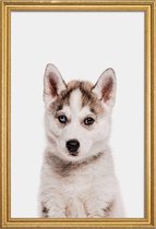 JUNIQE - Poster met houten lijst Husky -30x45 /Ivoor & Wit