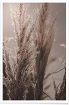 JUNIQE - Poster Pampas Reed 06 -13x18 /Bruin