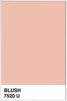 JUNIQE - Poster met kunststof lijst Blush -13x18 /Roze & Wit