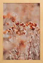 JUNIQE - Poster in houten lijst Autumnal Flowers -20x30 /Oranje & Roze