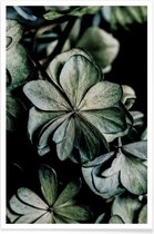 JUNIQE - Poster Greenery II -13x18 /Groen
