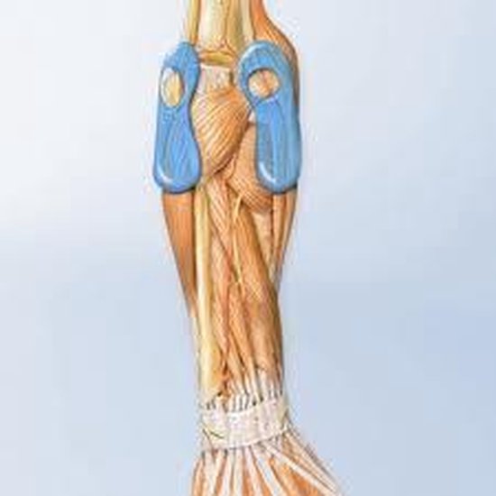 Bauerfeind Epitrain Elleboogbrace / Elleboogbandage-Maat 4: 25 - 27 cm