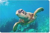 Muismat Schildpad - Zeeschildpad zwemmend in Hawai muismat rubber - 27x18 cm - Muismat met foto