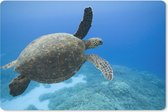 Muismat Schildpad - Groene zwemmende schildpad fotoprint muismat rubber - 27x18 cm - Muismat met foto