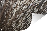 Muurdecoratie Close-up stekels - 180x120 cm - Tuinposter - Tuindoek - Buitenposter