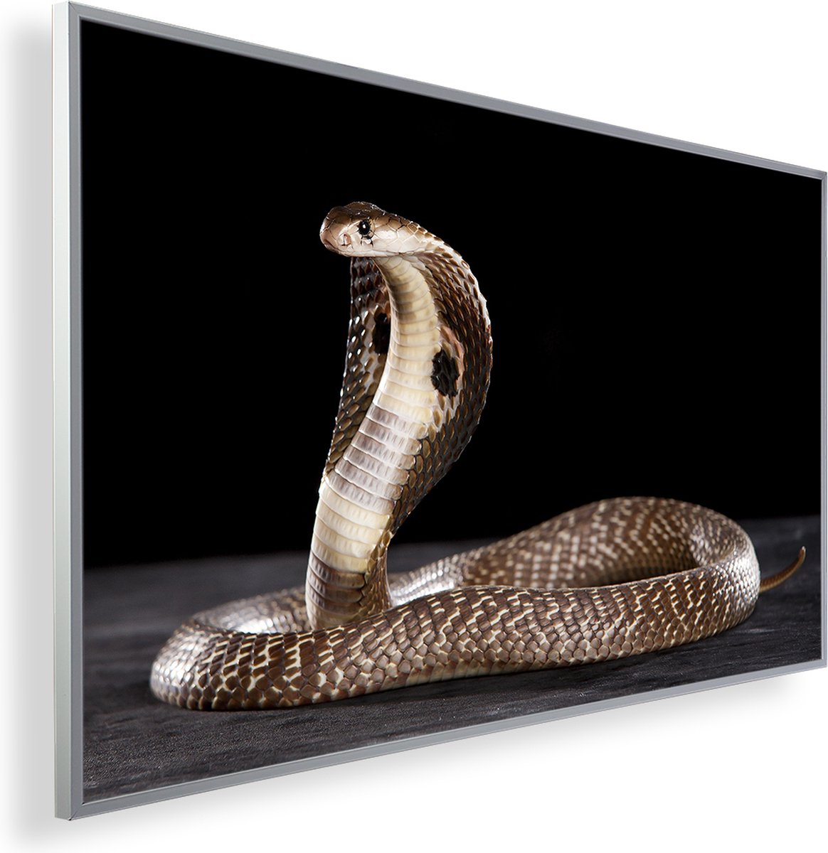 Infrarood Verwarmingspaneel 600W met fotomotief en Smart Thermostaat (5 jaar Garantie) - Cobra 84