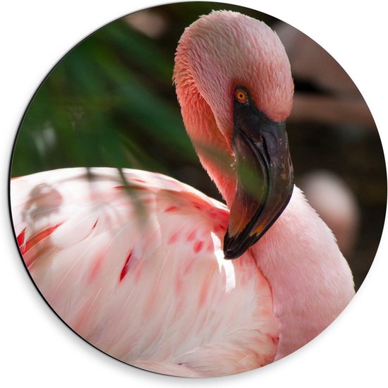 Dibond Wandcirkel - Flamingo achter Plant - 30x30cm Foto op Aluminium Wandcirkel (met ophangsysteem)