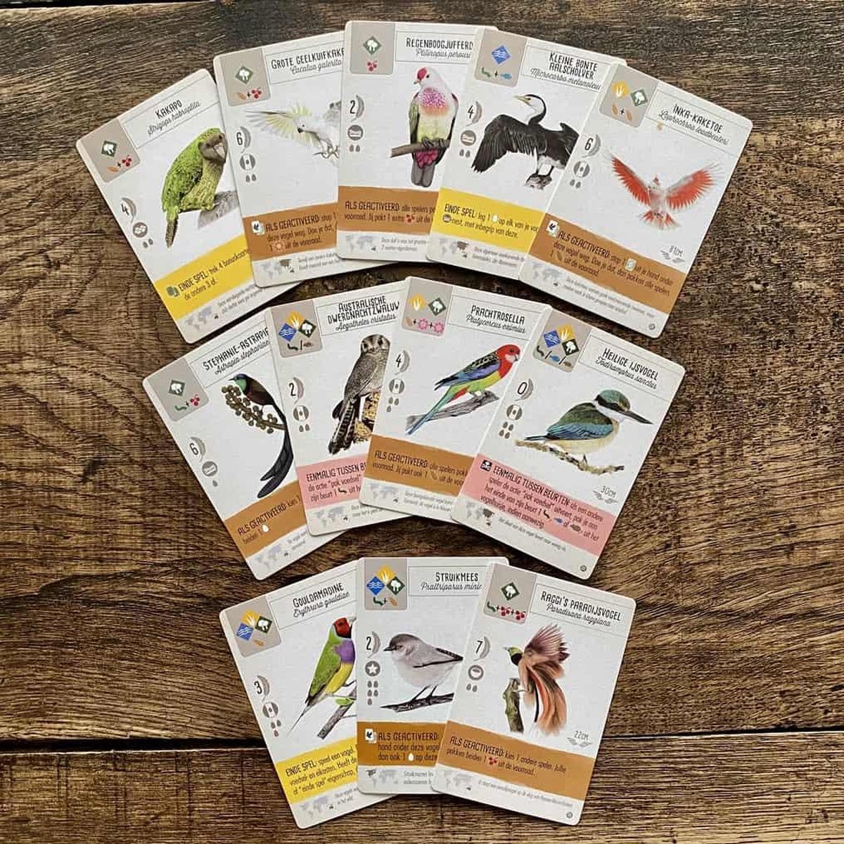 999 Games - Wingspan uitbreiding: Oceanië - Bordspel — afbeelding 12