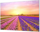Wandpaneel Bloemen tot aan de horizon  | 120 x 80  CM | Zwart frame | Wand-beugels (27 mm)