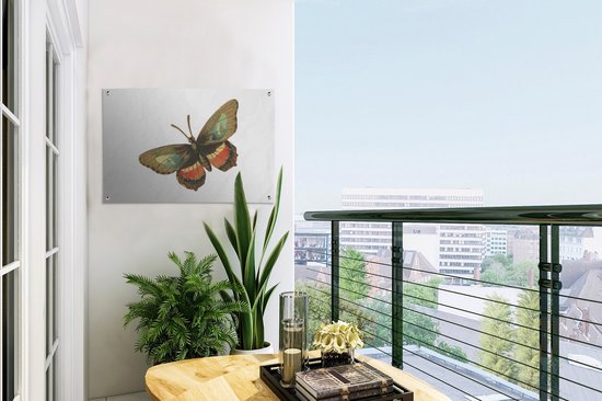 Décoration de jardin Vintage - Papillon - Marron - 60x40 cm - Affiche de jardin - Toile de jardin - Affiche extérieure