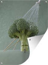 Tuin decoratie Broccoli met gieter - 30x40 cm - Tuindoek - Buitenposter