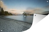 Lake Wanaka and the Wanaka Tree in New Zealand Garden poster 120x80 cm - Toile de jardin / Toile d'extérieur / Peintures pour l'extérieur (décoration de jardin)
