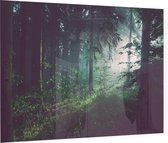 Lichtstralen door het bos bij dauw - Foto op Plexiglas - 90 x 60 cm