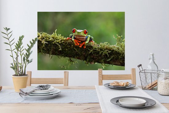 Stickers Stickers muraux - Grenouille aux yeux rouges sur une branche couverte - 90x60 cm - Film adhésif