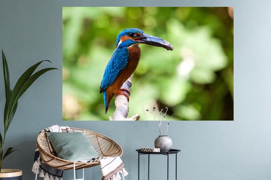 Sticker Muursticker Martin-pêcheur - Martin-pêcheur avec prise - 120x80 cm - film adhésif autocollant - sticker mural repositionnable