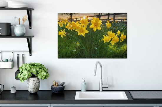 Coucher de soleil derrière les jonquilles dans le champ 90x60 cm - Tirage photo sur toile (Décoration murale salon / chambre) / Peintures Fleurs sur toile