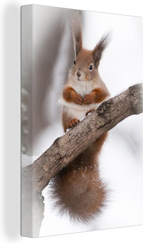 Canvas Schilderijen - Een eekhoorn in de winter op een tak - Wanddecoratie