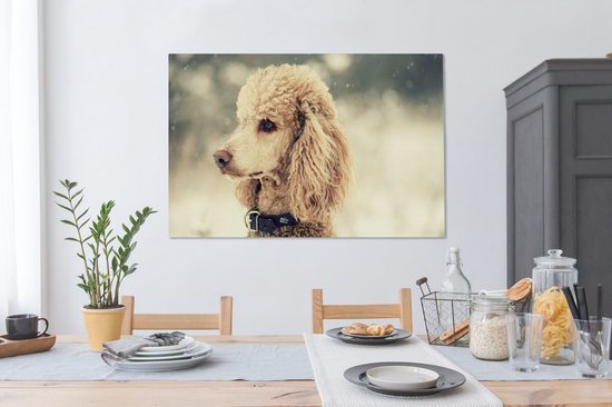 Caniche Witte dans la neige 120x80 cm - Tirage photo sur toile (Décoration murale salon / chambre) / Peintures sur toile pour Animaux domestiques