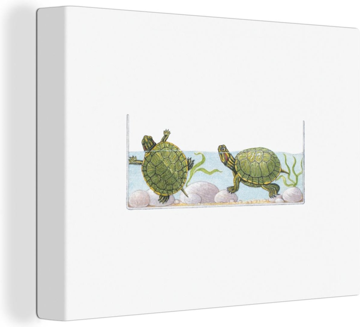Canvas Schilderij Illustratie van groene schildpadden in een aquarium - 80x60 cm - Wanddecoratie