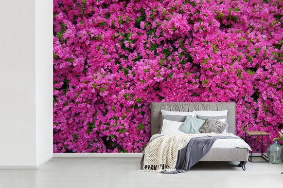 Papier peint photo peint photo vinyle - Azalée buisson largeur 330 cm x hauteur 220 cm - Tirage photo sur papier peint (disponible en 7 tailles)