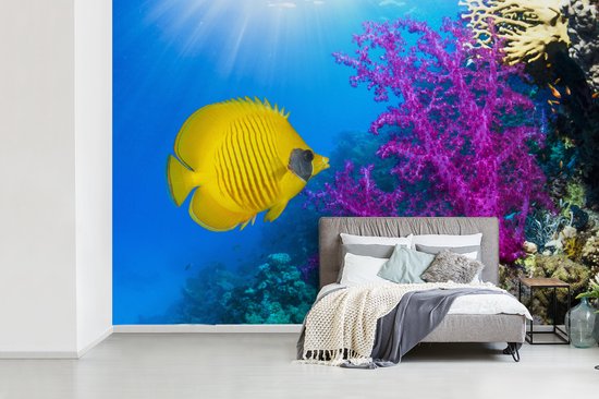Papier peint Papier peint photo en vinyle - Un papillon corail jaune à côté d'un corail mou joliment coloré dans la mer Rouge largeur 390 cm x hauteur 260 cm - Tirage photo sur papier peint (disponible en 7 tailles)