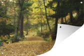 Tuinposter - Tuindoek - Tuinposters buiten - Herfstbossen in het Nationaal park Sierra de Guadarrama in Spanje - 120x80 cm - Tuin