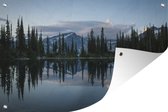 Un reflet dans l'eau au parc national du Mont-Revelstoke au Canada affiche de jardin 180x120 cm - Toile de jardin / Toile d'extérieur / Peintures d'extérieur (décoration de jardin) XXL / Groot format!