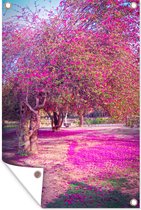 Tuinposter - Tuindoek - Tuinposters buiten - Paarse bloemblaadjes van de bougainvillea bomen bezaaien de grond van de Lodi Gardens in India - 80x120 cm - Tuin
