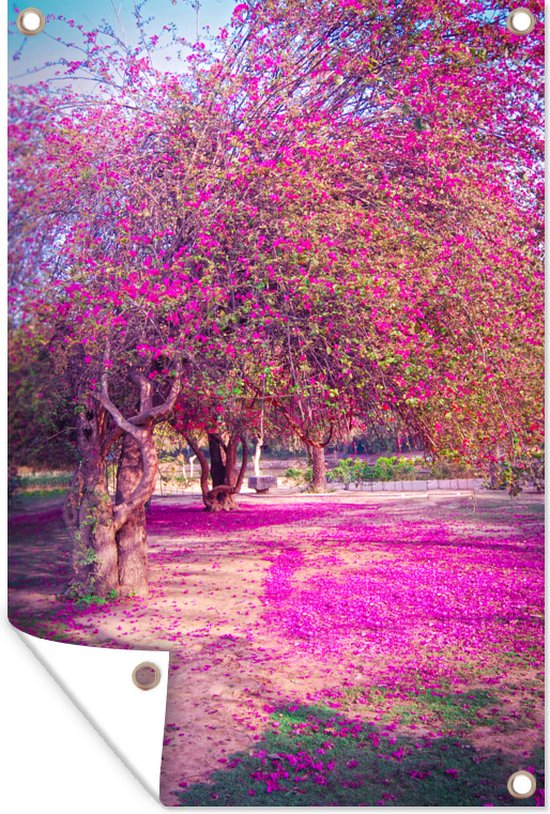 Paarse bloemblaadjes van de bougainvillea bomen bezaaien de grond van de Lodi Gardens in India