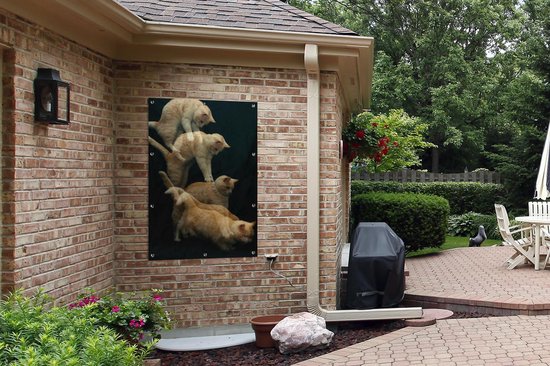 Poster jardin chat bondissant toile en vrac 80x120 cm - Toile de jardin / Toile d'extérieur / Peintures pour l'extérieur (décoration de jardin)