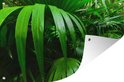 PDP.ProductImage.Thumb.Image.srtText 20