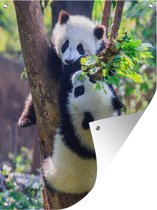 Tuinschilderij Panda's - Boom - Natuur - 60x80 cm - Tuinposter - Tuindoek - Buitenposter