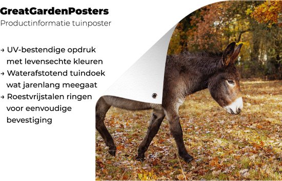 Âne marchant à travers les feuilles d'automne affiche de jardin toile en vrac 60x40 cm - petit - toile de jardin / toile d'extérieur / Peintures pour l'extérieur (décoration de jardin)