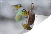 Tuinposter - Tuindoek - Tuinposters buiten - Etende vogels in de winter - 120x80 cm - Tuin